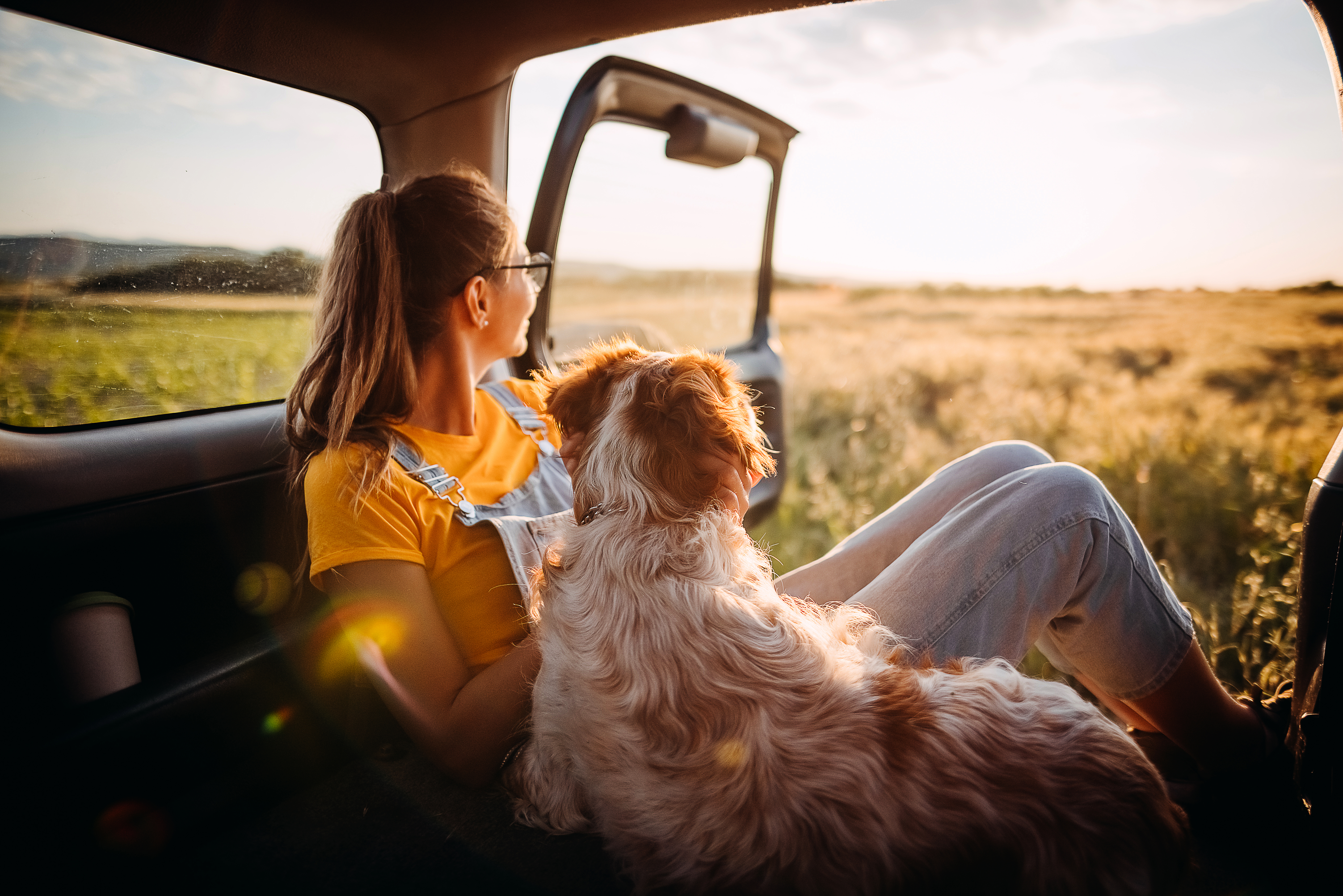 Editorial Teaser Monatskosten Auto Image