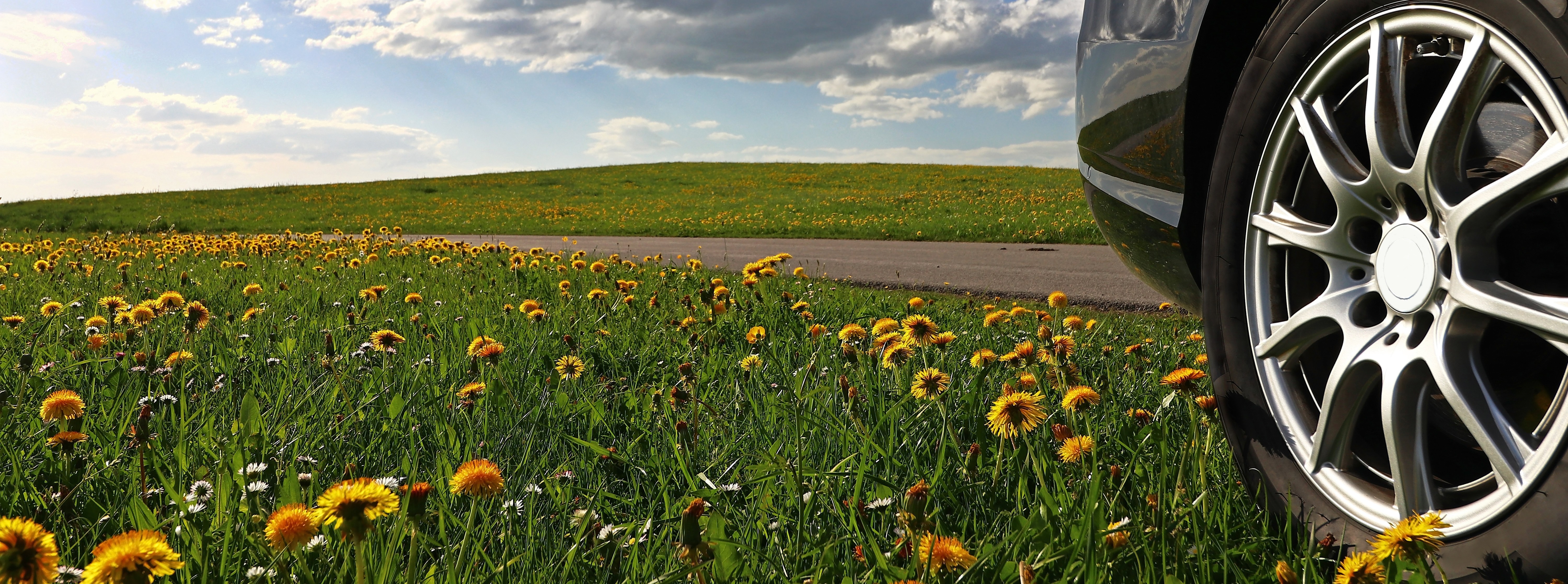 Auto reparieren oder verkaufen? Image